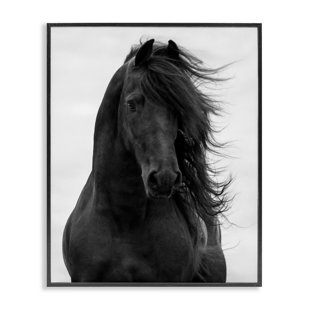 STUPELL INDUSTRIES Black Stallion Horse Portrait Soft Grey Sky Photography Graphic Art on Wood