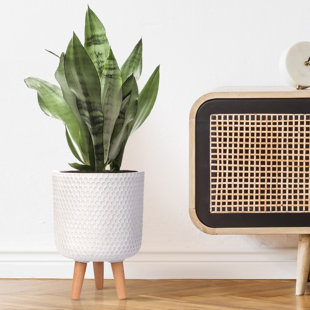 HORTICO Concrete Effect Cylinder Round Planter on Hardwood Legs, Round Indoor Plant Pot Stand for Indoor Plants, Indoor Flower Pot with Honeycomb Pattern