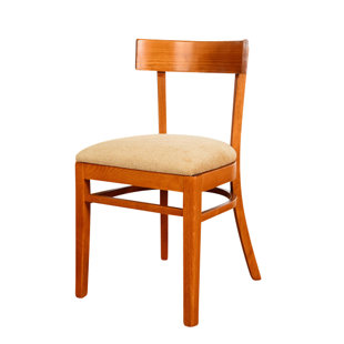 BESEATING Quinto Upholstered Solid Wood Wingback Side Chair (Set of 2)