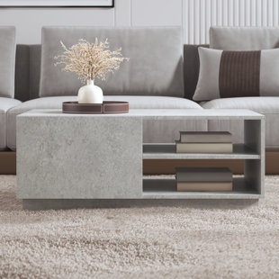 EBERN DESIGNS Pakson Michaelanne 1 Door Coffee Table with Storage