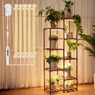 ARLMONT & CO. Plant Stand With Grow Lights