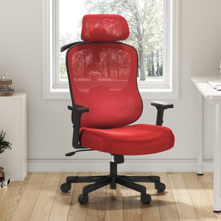 INBOX ZERO Mazlack Polyester Ergonomic Office Chair and Task Office Adjustable Lumbar Support 2D Armrest 6D Headrest Breathable Mesh
