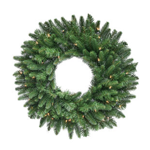 REGENCY INTERNATIONAL 24" LED Royal Fir Wreath