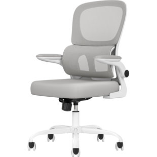 INBOX ZERO Ergonomics Double Back Mesh Desk Chair