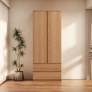 PARTTLION European style modern simple wardrobe