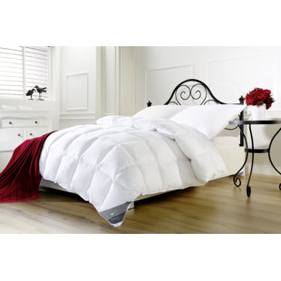 HÄUSSLING Kuscheltraum Medium Box-Stitch Duvet