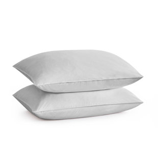 ALWYN HOME Kade Down Blend Medium Pillow (Set of 2)