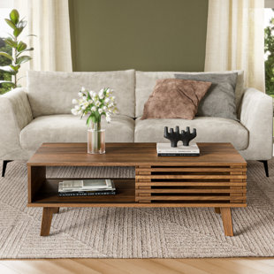 GEORGE OLIVER Enely Mid Century Modern Coffee Table for Living Room, 47.2 '' Table with slatted Door, Walnut