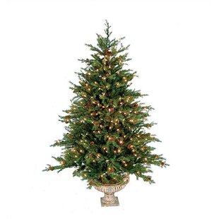 REGENCY INTERNATIONAL 4.5' Christmas Tree