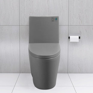 BRABOL 1.1/1.6 GPF Dual-flush Elongated Floor Mounted One-Piece Toilet (Seat Included)