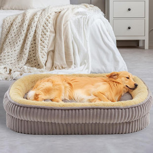 ARCHIE & OSCAR™ Dog Bed for Dogs Breeds, Dog Sofa Beds,Pet Couch Bed with Four Sided Bolster