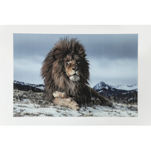 KARE DESIGN Picture Glass Proud Lion 180x120cm