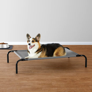 ARCHIE & OSCAR™ Breathable Cooling Elevated Dog Bed With Durable Metal Frame, Medium