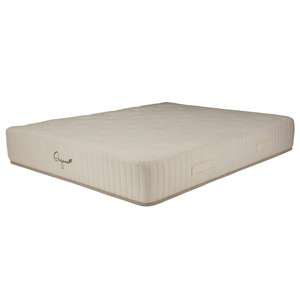 PRIMO INTERNATIONAL Organa Waterfall 10 in. Latex Pocket Spring Mattress