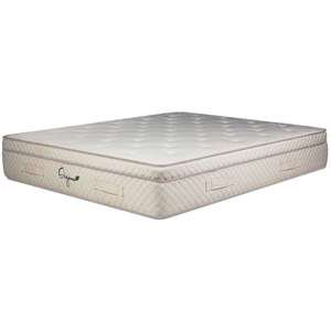 PRIMO INTERNATIONAL Organa Luxury 12 in. Euro Top Latex & Pocket Spring Mattress