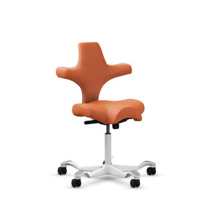 9TO5 SEATING HÅG Capisco