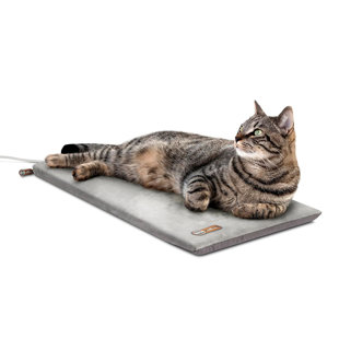 ARCHIE & OSCAR™ Pet Products Heated Thermo-Kitty Mat, Indoor Heated Cat Bed, Pet Heat Pad for Indoor Cats and Small Dogs, Cat Heating Pad, Electric Thermal Warming Cat Bed Mat, Gray 12.5 X 25 Inches