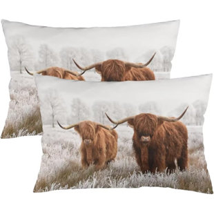 AMIPOR Highland Cow Throw Pillow Cover Queen Size Set Of 2 Western Cow Animal Wildlife Farm House Grassland Lumbar Pillow Case Decorative Standard Pillow Cases With Zipper Cushion Covers For Bed,Sofa,20"X30"