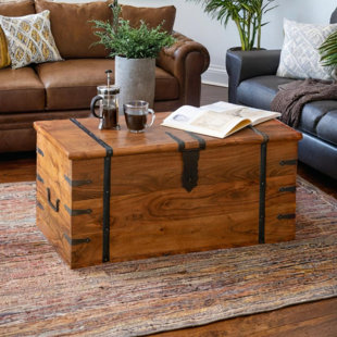 THREE POSTS Balic Solid Wood Trunk Coffee Table with Storage