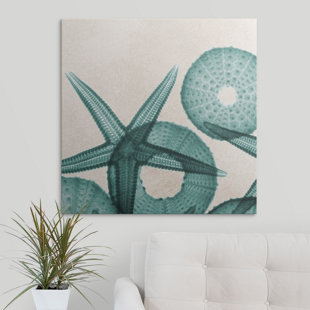 HIGHLAND DUNES 'Under the Sea IV X-Ray by Albert Koetsier Photographic Print