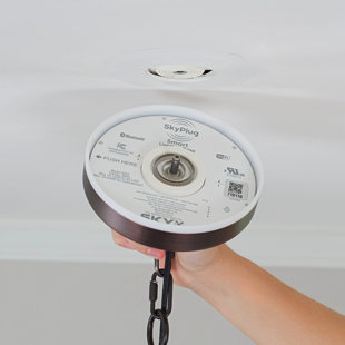 SKYX PLATFORMS SkyPlug Smart Lighting Canopy Kit - Corvus