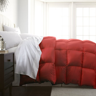 SPIRIT LINEN Traditional Comforter