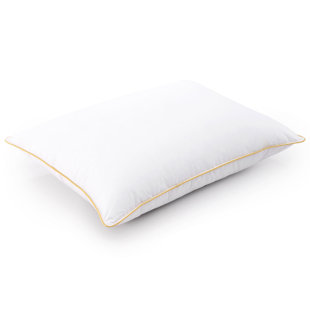 ALWYN HOME Granli Down Alternative Plush Pillow