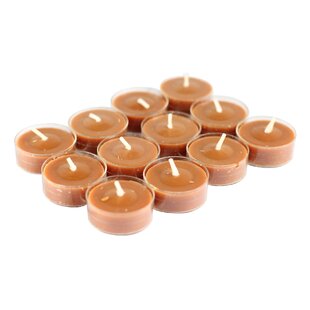 JECO INC. Rain Lissed Oak Leaf Scented Tealight Candle with Plastic Holder (Set of 12)