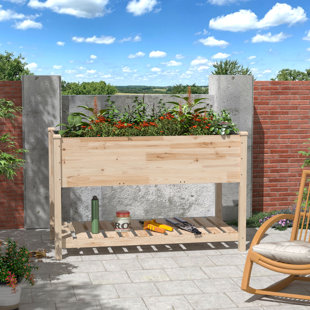 FREEPORT PARK® Kersh 47" X 24" All-Wood Raised Garden Bed With Varnish Finish, Storage Shelf, And Drainage Holes