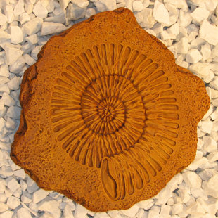NICHOLS BROS. STONEWORKS Ammonite Stepping Stone