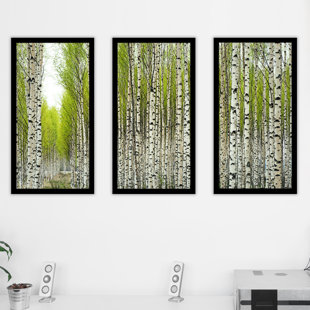 PICTURE PERFECT INTERNATIONAL Birch Trees Framed On Plastic / Acrylic 3 Pieces Print