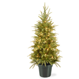 NATIONAL TREE CO. 4' Lighted Spruce Christmas Tree