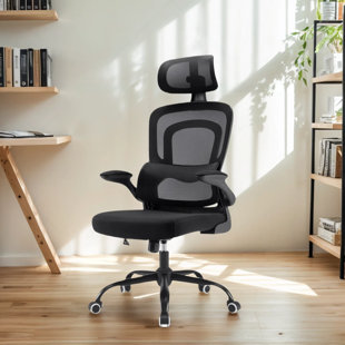 INBOX ZERO Montclaire Mesh Desk Chair With Adjustable Lumbar Support