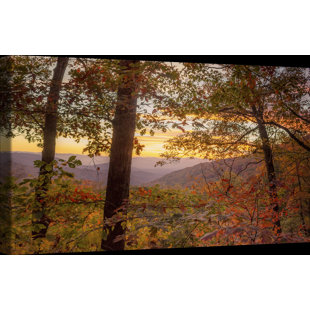 ASHTON WALL DÉCOR LLC Country Colors Framed Farmhouse / Country On Canvas Print