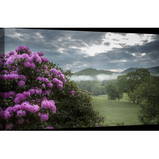 ASHTON WALL DÉCOR LLC Country Colors 'Rhodies Along the Pasture' Photographic Print on Wrapped Canvas