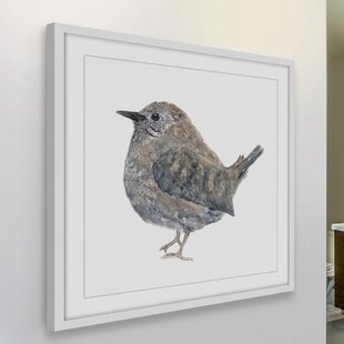 MARMONT HILL " Wren Bird " by Thimble Sparrow