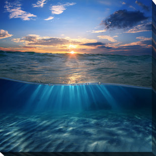 PICTURE PERFECT INTERNATIONAL " Underwater III "