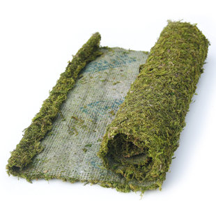 SUPERMOSS™ Instant Green All Purpose Moss/Mat Runner