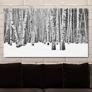 PICTURE PERFECT INTERNATIONAL " Birch Trees In Winter "