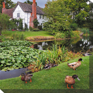 WEST OF THE WIND OUTDOOR CANVAS ART Duck Manor Framed Photographic Print on Wrapped Canvas