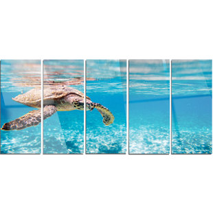DESIGN ART Large Hawksbill Sea Turtle On Metal 5 Pieces Print