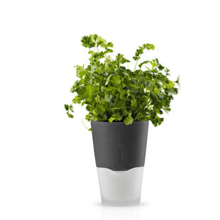 EVA SOLO NORTH AMERICA Self-Watering Pot Planter
