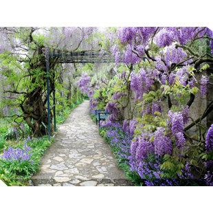 WEST OF THE WIND OUTDOOR CANVAS ART Wisteria Path Outdoor Canvas Art
