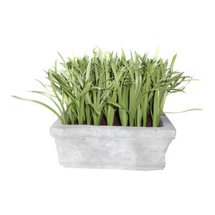 GOLD EAGLE USA 10'' Faux Moss Grass in Ceramic Planter
