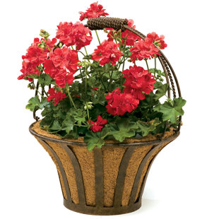 DEER PARK IRONWORKS Solera Metal Pot Planter