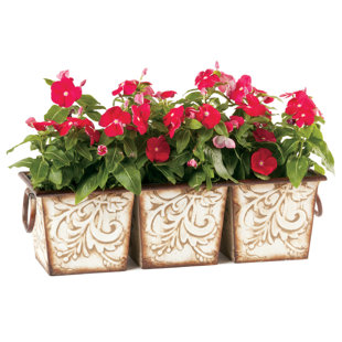 DEER PARK IRONWORKS Venetian Pot Planter (Set of 3)