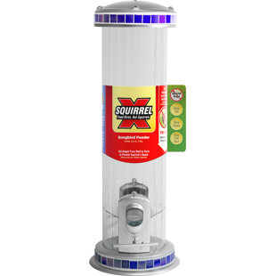 CLASSIC BRANDS LLC Glass Hanging Tube Bird Feeder