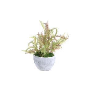 GOLD EAGLE USA 18'' Faux Fern Plant in Cement Pot