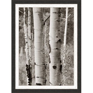 ASHTON WALL DÉCOR LLC " Aspens II "