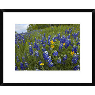 GLOBAL GALLERY Modern & Contemporary